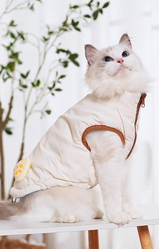 From product testing to breakout SKU through social content and commerce